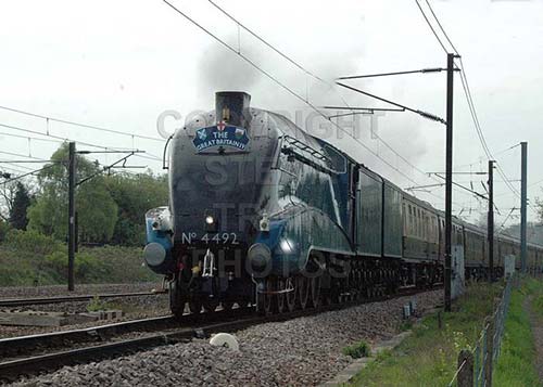 See large image